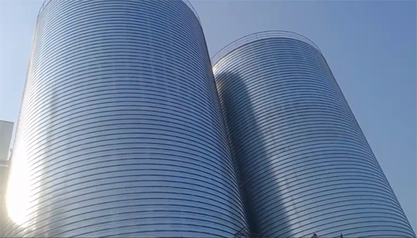 衡阳2座混凝土高架卷板仓